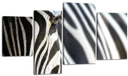 wandmotiv24 Leinwandbild Zebra LW54 Wandbild, Bild auf Leinwand, 4 Teile, 180x115cm, Kunstdruck Canvas, XXL Bilder, Keilrahmenbild, fertig aufgespannt, Bild, Holzrahmen, Afrika, schwarz, weiß