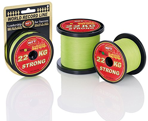 WFT KG Strong Schnur 300m 0,12mm 15kg