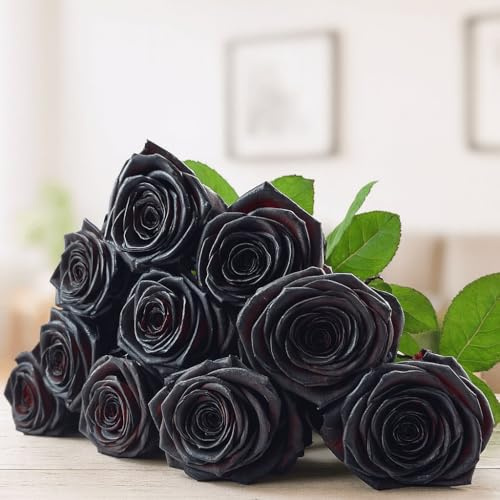 10 schwarze Rosen - Inklusive Grußkarte # Frisch # Langstielig # Vasenfertig