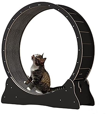 GLJTUO Schwarzes Katzenlaufband Aus Holz, Verschleißfestes Katzenlaufrad/Gerät Zur Gewichtsabnahme Bei Katzen, Kletter-Spinnrad Für Kleine/Mittelgroße/Große Katzen,Black-Inner Diameter-80cm(31.5