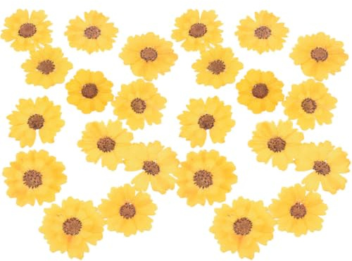 Alasum DIY Bastelzubehör Gepresste Trockenblumen 24 Stück Getrocknete Chrysanthemen Für Schmuckherstellung Und Handyhüllen Natürliche Kleine Blumen 2,5 4cm
