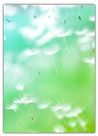 Blumen Motivpapier Briefpapier Pusteblumen im Wind (MPA-5201, DIN A4, 100 Blatt)