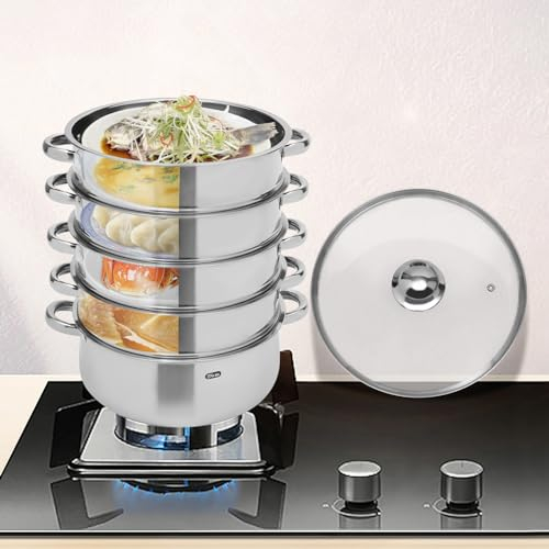 DSYOGX Vaporera de 5 niveles, de acero inoxidable, 28 cm, con tapa de cristal y asas de metal, olla para cocinar al vapor alimentos como pan, albóndigas, verduras o pescado aves de corral