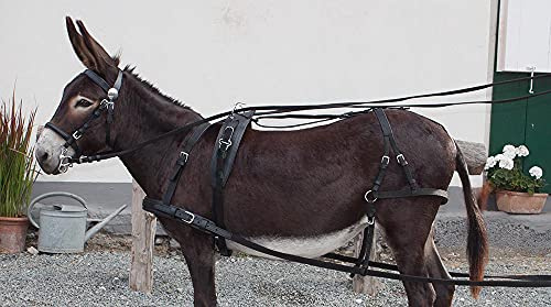 PFIFF Einspännergeschirr ´Donkey´, schwarz 1