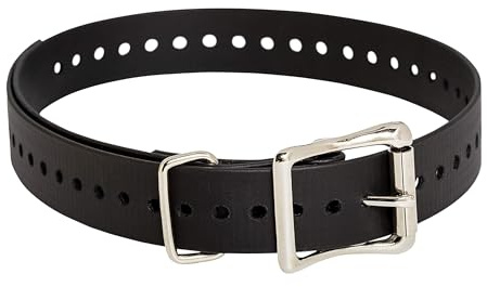 SportDOG Brand 2,5 cm Halsband.