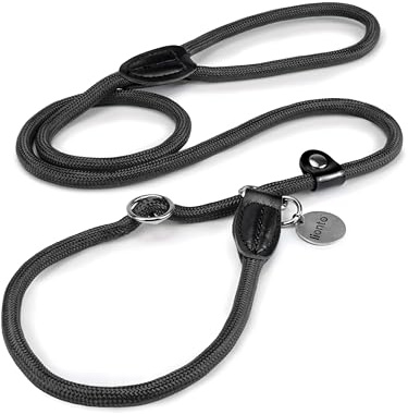 lionto Correa Retriever Correa de Perro Correa de Entrenamiento, Longitud 120 cm Negro