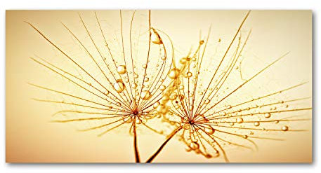 Tulup Leinwandbild - Wandkunst - Drucke auf Leinwand - Leinwanddruck -100x50 cm - Blumen & Pflanzen - Beige - Pusteblume