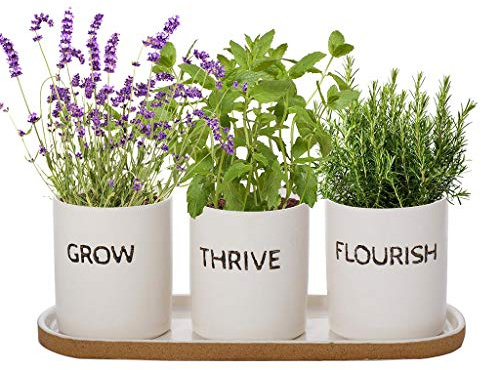 Indoor Herb Garden Window Box Cocktail Herb Planter Set Gardening Gift | Drainage Hole, Tray, Embossed Planter, Herb Pots, Herb Garden, Windowsill Pots, Kitchen Herbs