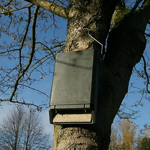 HASSELFELDT Fledermaus-Spaltenkasten aus Holzbeton für Kleinfledermäuse | Fledermausquartier | Fledermauswochenstube | Großraumhöhle | Sommerquartier| Fledermauskasten| Fledermaus-Haus|Selbstreinigend