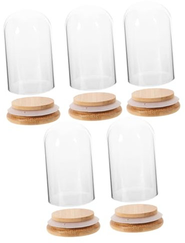 Cabilock 5 Pièces Dome Verre Transparent avec Support Lot de Cloches Décoratives pour Fleurs et Objets de Collection Vitrine pour Maison Bureau
