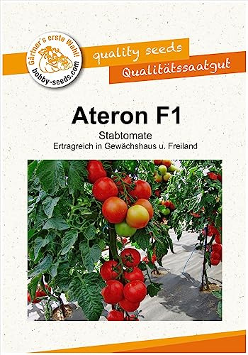 Tomatensamen Ateron F1 Portion