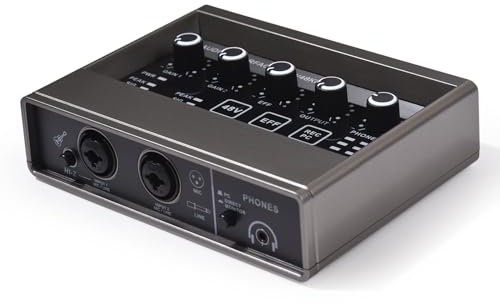 ERYUE Soundkarte Audio-Interface, professionelle Aufnahme, XLR-Audio-Interface, DSP-Reverb, 48 V Phantomspeisung, Soundkarte, 16 Bit/48 kHz Auflösung, Plug-and-Play für Musikaufnahmen, Online-