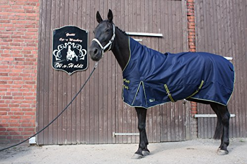 time4horses 1200Denir High Neck Pferdedecke Regendecke Paddockdecke Stalldecke Weidedecke Rug (145 cm)