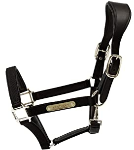 Kentucky Horsewear Nylon Halfter anatomisch, Größe:Full, Farbe:schwarz
