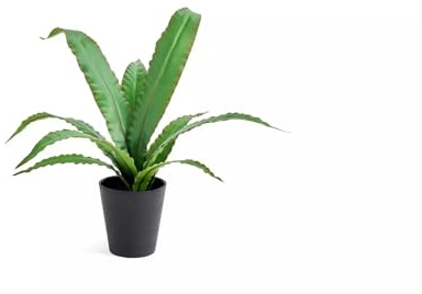 JAYOGLA Artificial Birds Nest Fern Plant in Black Pot, 40 cm, Green