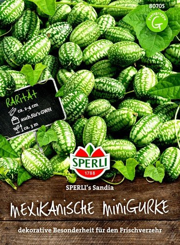 Mexikanische Minigurke SPERLI´s Sandia