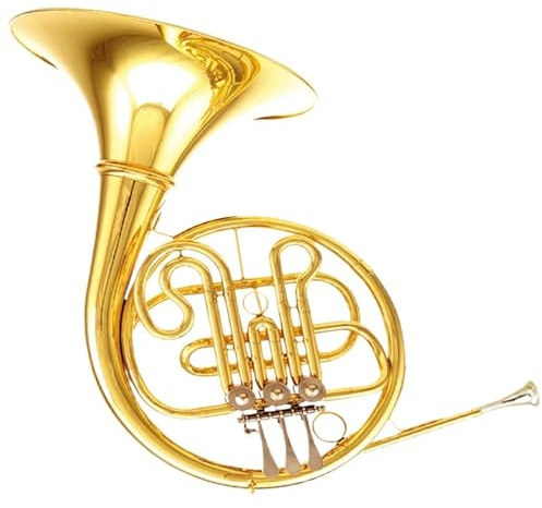 Waldhorn Musikinstrumente Verbundenes Transponiertes Horn Vier Klappen Zweireihiges Instrument B Dur Tonart F
