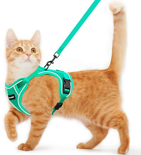 Katzengeschirr und Leine zum Spazierengehen, ausbruchsicher, weich, verstellbar, atmungsaktiv, bequem, einfach zu tragen, Kätzchengeschirr für Outdoor-Reisen, Smaragdgrün, Größe M