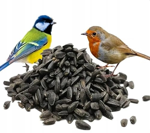 Green Hobby Semi di girasole, nero, 10 kg, mangime per uccelli