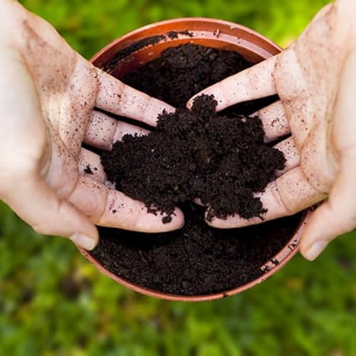 Substrato Universal para un Jardín Resplandeciente Bolsa 10 Litros para Cuidar las Plantas