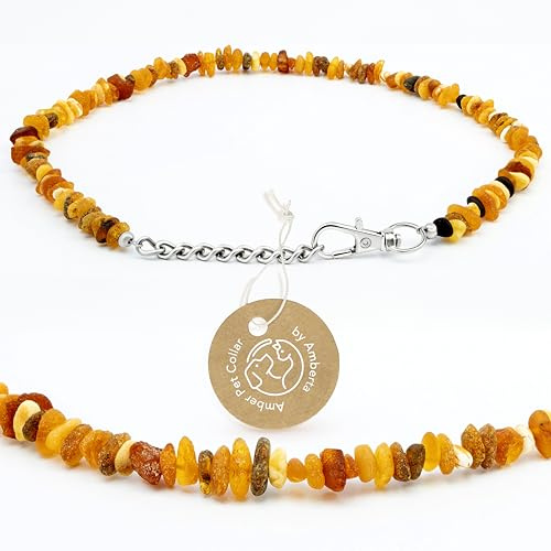 Amberta Bernstein Halsband für Hunde und Katzen | Bernsteinkette für Hunde | Halsband Hund: 45-50 cm