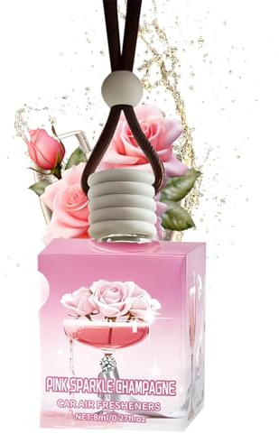 Désodorisant pour voiture, décoration d'aromathérapie – Éliminateur d'odeurs de camion, automobile, véhicule automobile, voiture pour homme et femme