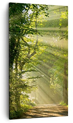 ARTTOR Leinwandbild 45x80 cm Wandbild Landschaften Wald - 3661 | Baum Natur Vertikal Klein Wanddekoration Wohnzimmer Schlafzimmer Wandkunst Wanddeko Wand Kunstdruck Küche Wall Decor ARTTOR