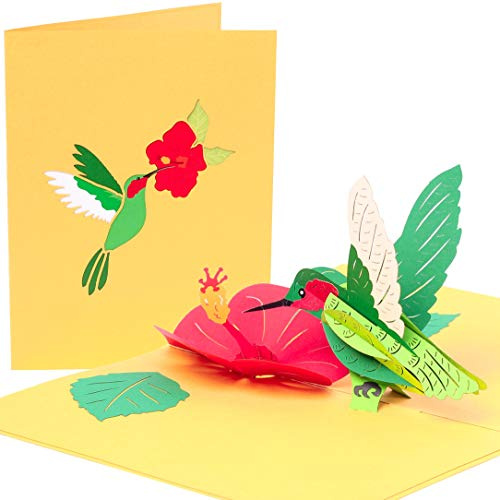 PopLife Kolibri Klappkarte zum Valentinstag für sie-3D Glücklicher Jahrestag, Blume Klappkarte zum Geburtstag für Mama, danke, gute Besserung, Mitgefühl -Flach gefaltet- für Schwester, Tochter, Oma