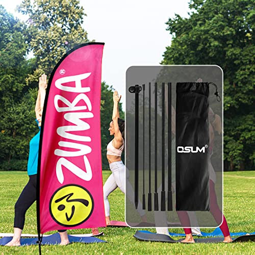 QSUM Zumba Fitness - Kit de bandera y mástil de plumas