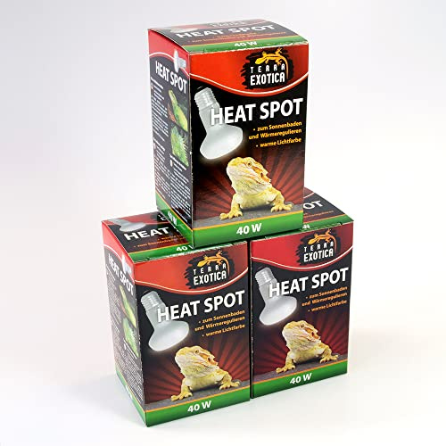 Terra Exotica Heat Spot Wärmestrahler 40 Watt, 3er Pack | Für Reptilien, Terrarium Spotstrahler, Terrarienbeleuchtung, Wärmelampe