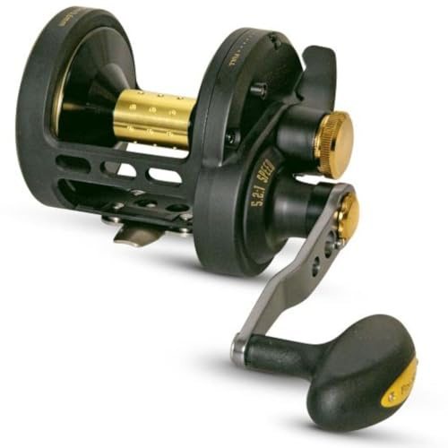 Black Cat Buster LH BCB 650, schwarz , gold