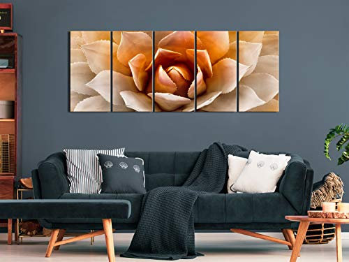 Bild – Agave (5-teilig) Narrow Orange [200 x 80]