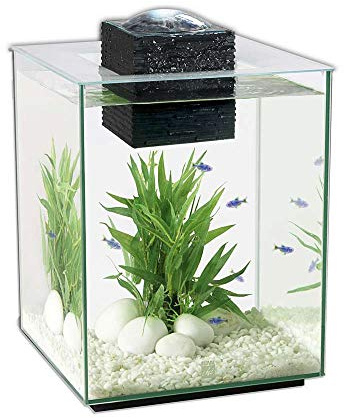 Fluval Chi II Series Aquarium Set, 5-Gallon - Aquarium Tank with Ambient LED Lighting, Flowing Water, and Elegant Design, White