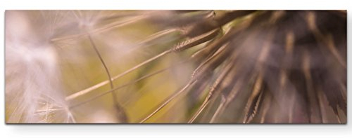 Paul Sinus Art Pusteblume – Fotografie - Panoramabild auf Leinwand in 120x40cm