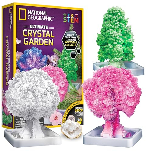 National Geographic Craft Kits for Kids - Crystal Growing Kit - Grow a Crystal Garden in Just 6 Hours, Educational Craft Includes Art Project, Geode, STEM Arts and Crafts for Girls (Amazon Exclusive)