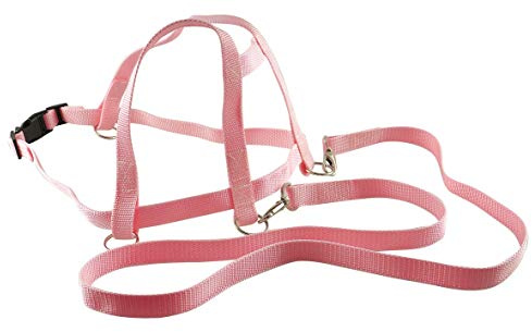 SportFit 675-23 Pferdeleine - Rosa mit Sicherheits-Schnell-Verschluss Pferdchen-Spiel Rollenspiel