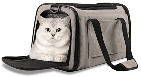 PETCUTE Transportbox Katze & Hund,Atmungsaktiv Tragetasche für Katze Kleine Hund mit Sicherheitsleine,Faltbar Katze Transporttasche Hunde Flugtasche mit Schultergurt und Weiches Kissen,Hellgrau,M