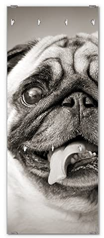 banjado® Wandgarderobe aus Echtglas/Design Garderobe 50 x 125 cm groß/Flurgarderobe mit 7 Haken/Beschreibbares Garderobenpaneel Motiv Mops Porträt