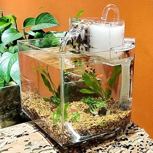 HASMI Aquarium Mini Aquarium Tank Desktop Fischschüsseln for kleine Fische Klare Aquarien Wasserfall Outlet mit leiser Pumpfilter Baumwolle Aquarien