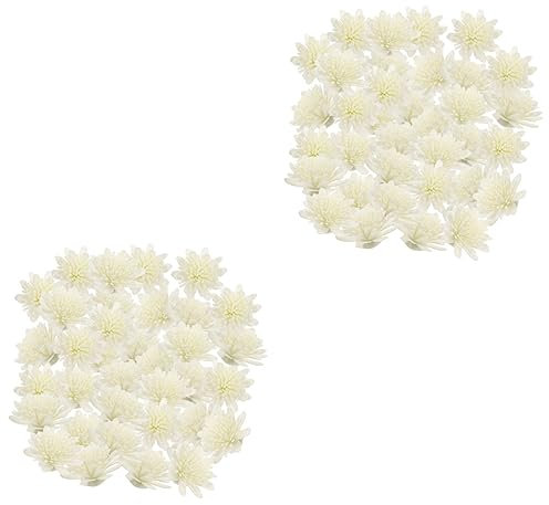 PRETYZOOM 200stücke Diffuser Blumen Pe Chrysanthemen Für Aromatherapie Und Raumduftgestaltung Zubehör Für Wohnräume Hochzeiten Und Mehr