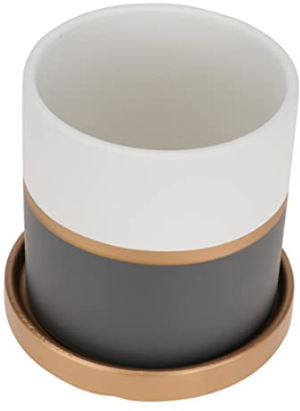 CAXUSD Nordischer Bonsai Keramik Blumentopf, Klein, Schlicht, Weiß | Sukkulenten und Zimmerpflanzen, Minimalistisches Design, Elegant und Zart, Fensterbank oder Büro