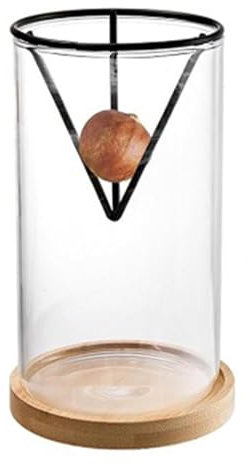 Kit de culture d'avocatier – Kit de culture d'avocatiers 33 pièces | Vase hydroponique transparent pour culture d'avocat | Vase de démarrage avec base en bois pour décoration de table