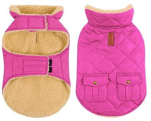 CITÉTOILE Warme Hundemantel Fleece Wintermantel für Hunde Rosa M | Hundebekleidung Hundejacke mit Geschirr Loch für Chihuahua Dackel, Outdoor Welpen Mantel für kleine mittel große Hunde