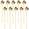 FSSTUD Lot de 10 cuillères à café à long manche en acier inoxydable poli miroir Petites cuillères à dessert rondes