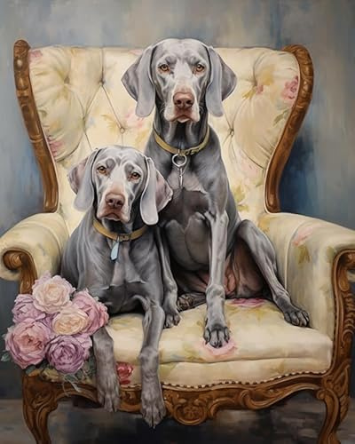 ZMHZMY Malen nach Zahlen Erwachsene,Zwei Weimaraner-Hunde DIY Handgemalt Ölgemälde Kits auf Leinwand Geschenk für Weihnachten Geburtstag Home Haus Deko,40x50cm