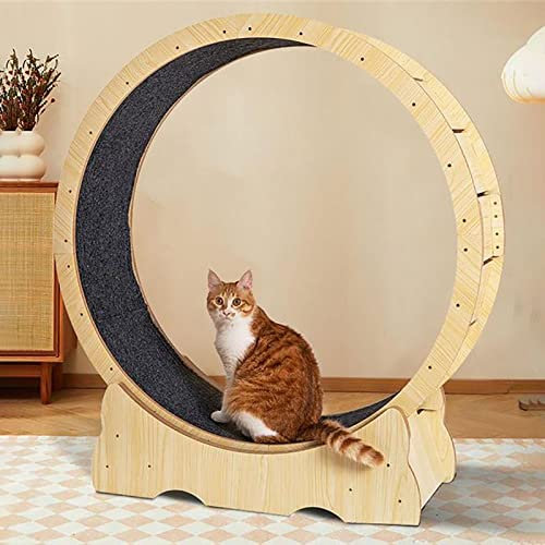 GLJTUO Katzenrad, Katzen-Trainingsrad, Katzenprodukte Für Hauskatzen, Interaktives Katzenspielzeug, Katzenlaufband, Leises Katzenlaufrad Aus Holz,Inner Diameter-90cm/35.4