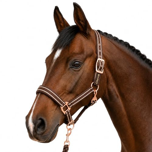 Halfter für Pferde mit Glitzer in Rosegold, Halfter Pferd in schwarz und pink, 2-Fach verstellbar (Braun Rosegold, Warmblut (Full))