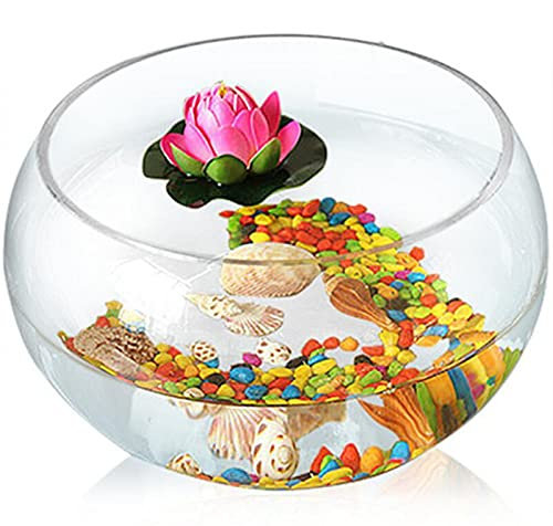 Aquarium Clear Fish Bowl, Round Cylinder Round Goldfish Tank Ecological Creativity Glass Fish Tank Large Turtle Tank Hydroponic Tank Vase Aquarium Tank(30CM)