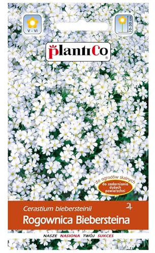 PlantiCo 0,3g Semi di cornunghia di Bieberstein per balcone terrazzo pianta fiorita perenne per splendidi tappeti di fiori resistente al gelo