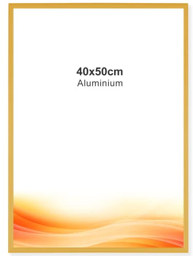 RAWWEST.BIS Alu Bilderrahmen 40x50cm Plakatrahmen Alurahmen mit Plexi Rahmen aus Aluminium für Bilder Poster Fotos und für Puzzle, Posterrahmen Fotorahmen, Gold